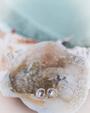 Bowie & Co / Shell Stud Earrings: Sterling Silver