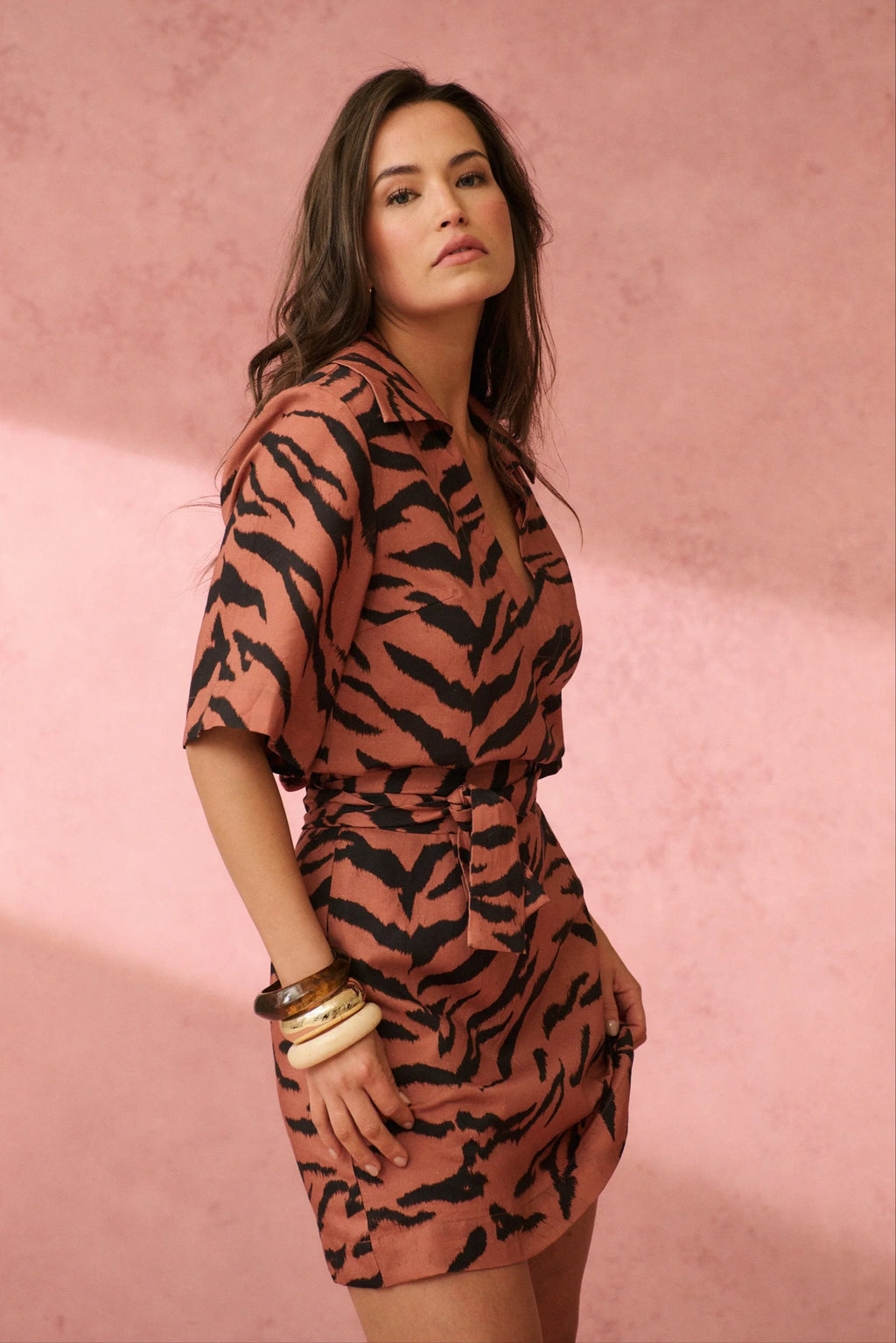 Cartel & Willow / Harley Mini Dress - Zebra
