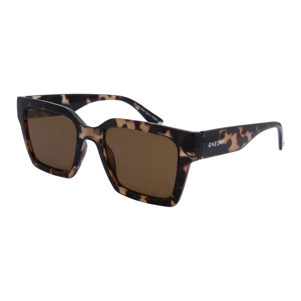 ONEDAY  / Rhodes - Tortoise Brown