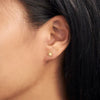 Midsummer Star / Mandala Flower Studs - Gold