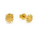 Midsummer Star / Sunshine Stud - Gold
