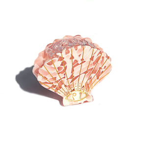 Kingston Jewellery / Pink Stone Shell Clip