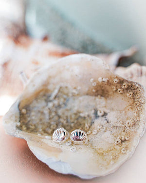 Bowie & Co / Shell Stud Earrings: Sterling Silver