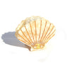 Kingston Jewellery / Creamy Shell Clip